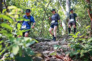 BIB: 
                            <button type="button" onclick="openModal(27701959)" class="btn btn-primary btn-sm float-right btn-popup" data-toggle="modal" data-target=".modal-high-quality">
                        <i class="fas fa-shopping-cart"></i> Add to Cart
                    </button>
                                            <button type="button" onclick="isThisMe(27701959, true)" class="btn btn-success btn-sm float-right btn-popup btn-isme hidden" data-toggle="tooltip" data-placement="bottom" title="นี่คือรูปของคุณใช่ไหม คลิกที่นี่เพื่อเอาเข้าอัลบั้ม">
                        <i class="fas fa-plus"></i> Add to album
                    </button>
                    <button type="button" onclick="isThisMe(27701959, false)" class="btn btn-warning btn-sm float-right btn-popup btn-isnotme hidden">
                        <i class="fas fa-ban"></i> Remove from album
                    </button>